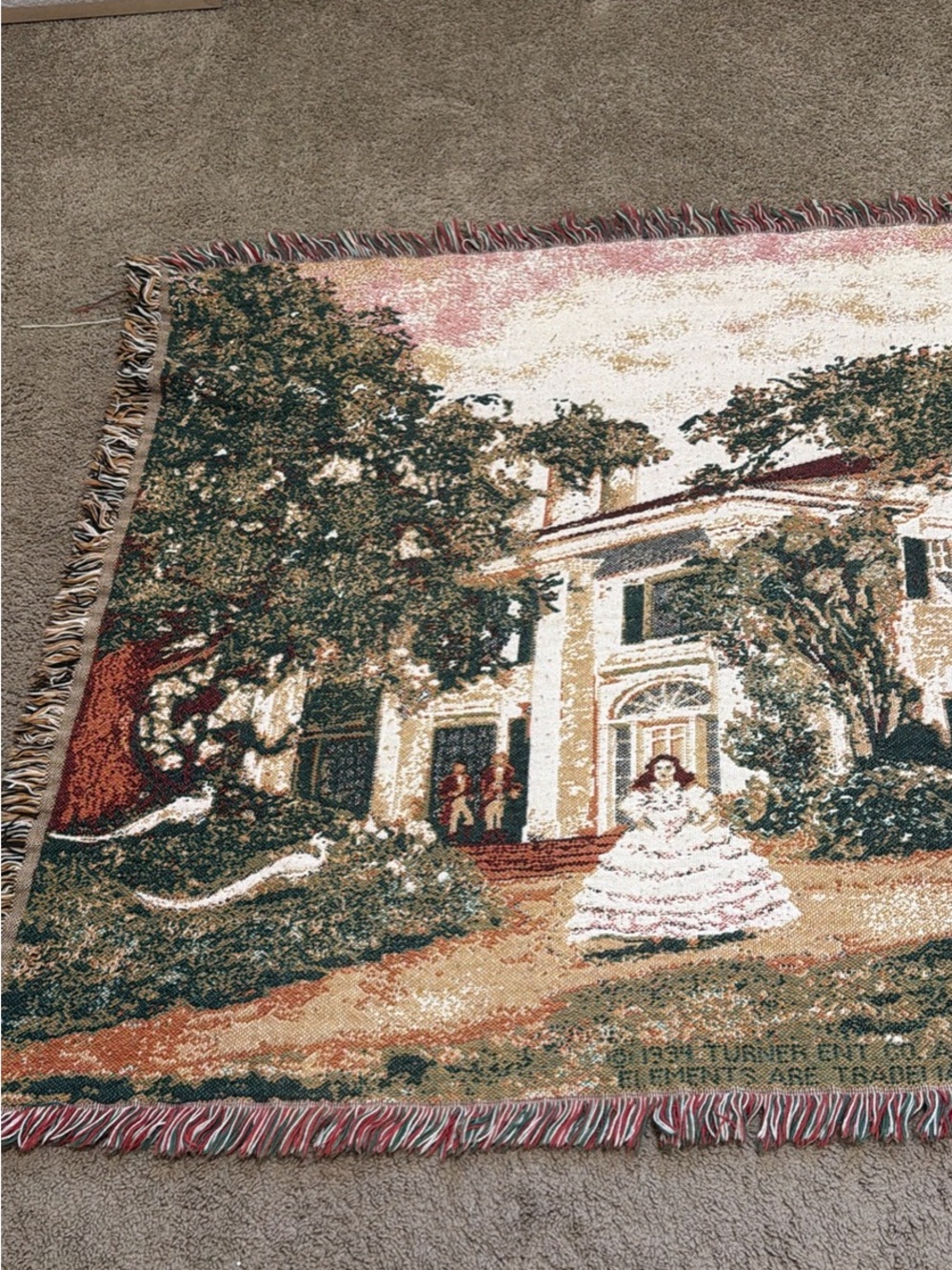 Gone With The Wind Throw/Plate/VHS